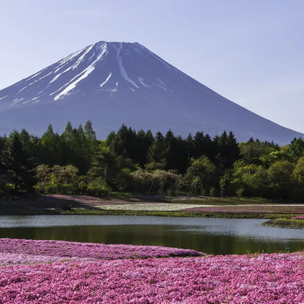 春の富士山